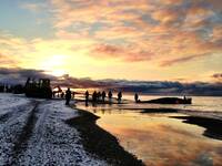 thmbnail image for Utqiagvik Beach Whaling_Ben Toth.JPG